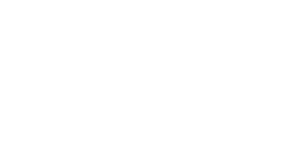 Nova C Logo White